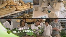 Accademia della farina