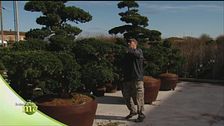 Il verde è vita