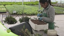 Serre di moltiplicazione