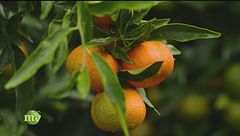 Puntata del 3 febbraio