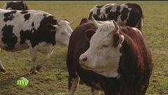 Puntata del 10 febbraio