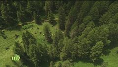 Puntata del 29 settembre