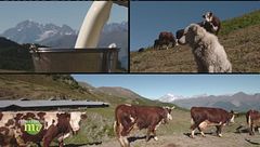 Puntata del 13 ottobre