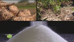 Puntata del 27 ottobre