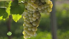 Puntata del 10 novembre