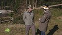 La gestione del bosco