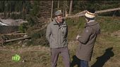 La gestione del bosco