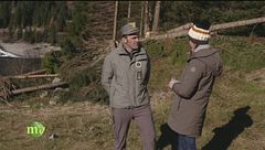 La gestione del bosco