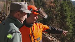 Gli operatori boschivi