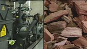 Dal legno all'energia pulita