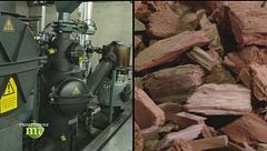 Dal legno all'energia pulita