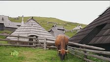 Gli storici pastori di Velika Planina