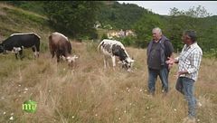 Uomo, natura e tradizioni