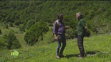 Parco Nazionale d'Abruzzo, Lazio e Molise