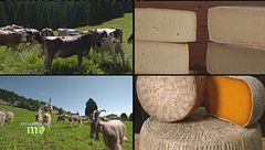 Il formaggio di San Sebastiano