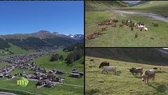 Feel the Alps