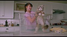 Trailer - Una vita da gatto