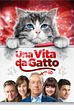 Trailer - Una vita da gatto