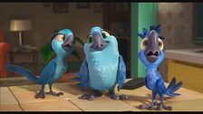 Trailer - Rio 2 - missione amazzonia