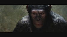 Trailer - L'alba del pianeta delle scimmie