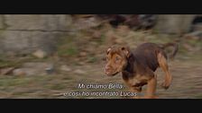 Trailer - Un viaggio a quattro zampe
