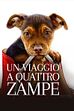 Trailer - Un viaggio a quattro zampe