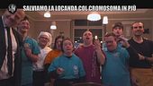 GOLIA: Sindrome di down e autismo: Locanda dei girasoli e dell'inclusione