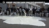 MARTINELLI: Strangolati dal crollo dei prezzi del latte: la protesta dei pastori sardi