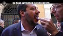 DI SARNO: Droga, abbiamo fatto il test ai politici (anche a Salvini). Chi sarà positivo?
