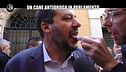 DI SARNO: Droga, abbiamo fatto il test ai politici (anche a Salvini). Chi sarà positivo?
