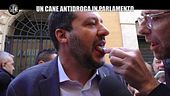 DI SARNO: Droga, abbiamo fatto il test ai politici (anche a Salvini). Chi sarà positivo?