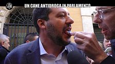 DI SARNO: Droga, abbiamo fatto il test ai politici (anche a Salvini). Chi sarà positivo?
