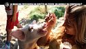NINA: Aiutiamo la bellissima fattoria degli animali da compagnia di Anna!