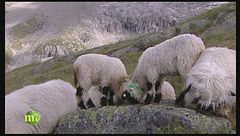 Puntata del 19 maggio