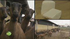 Puntata del 2 giugno