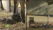 Progetto agricoltura