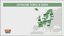 La castrazione chimica in Europa