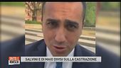 La castrazione divide il Governo