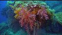 Ep. 2 - Raja Ampat