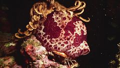 Ep. 6 - Quando arriva il buio