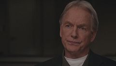 Ep. 16 - Orsi e cuccioli