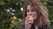 I limoni di Siracusa IGP