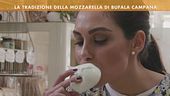La mozzarella di bufala