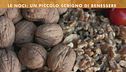 I benefici delle noci