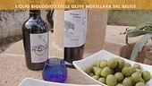 L'olio biologico siciliano