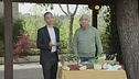 I capperi, un efficace diuretico naturale