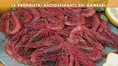 Le proprietà dei gamberi