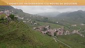 I vigneti del Valdobbiadene