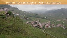 I vigneti del Valdobbiadene