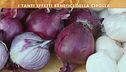 I benefici della cipolla